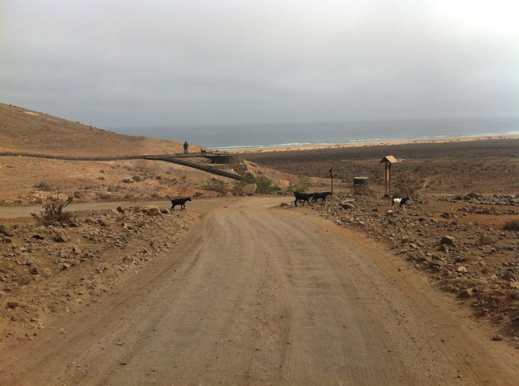 Camino a Cofete, Fuerteventura.