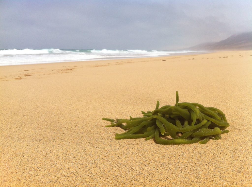 Playa de Cofete, Fuerteventura.