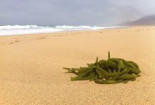 Playa de Cofete, Fuerteventura.